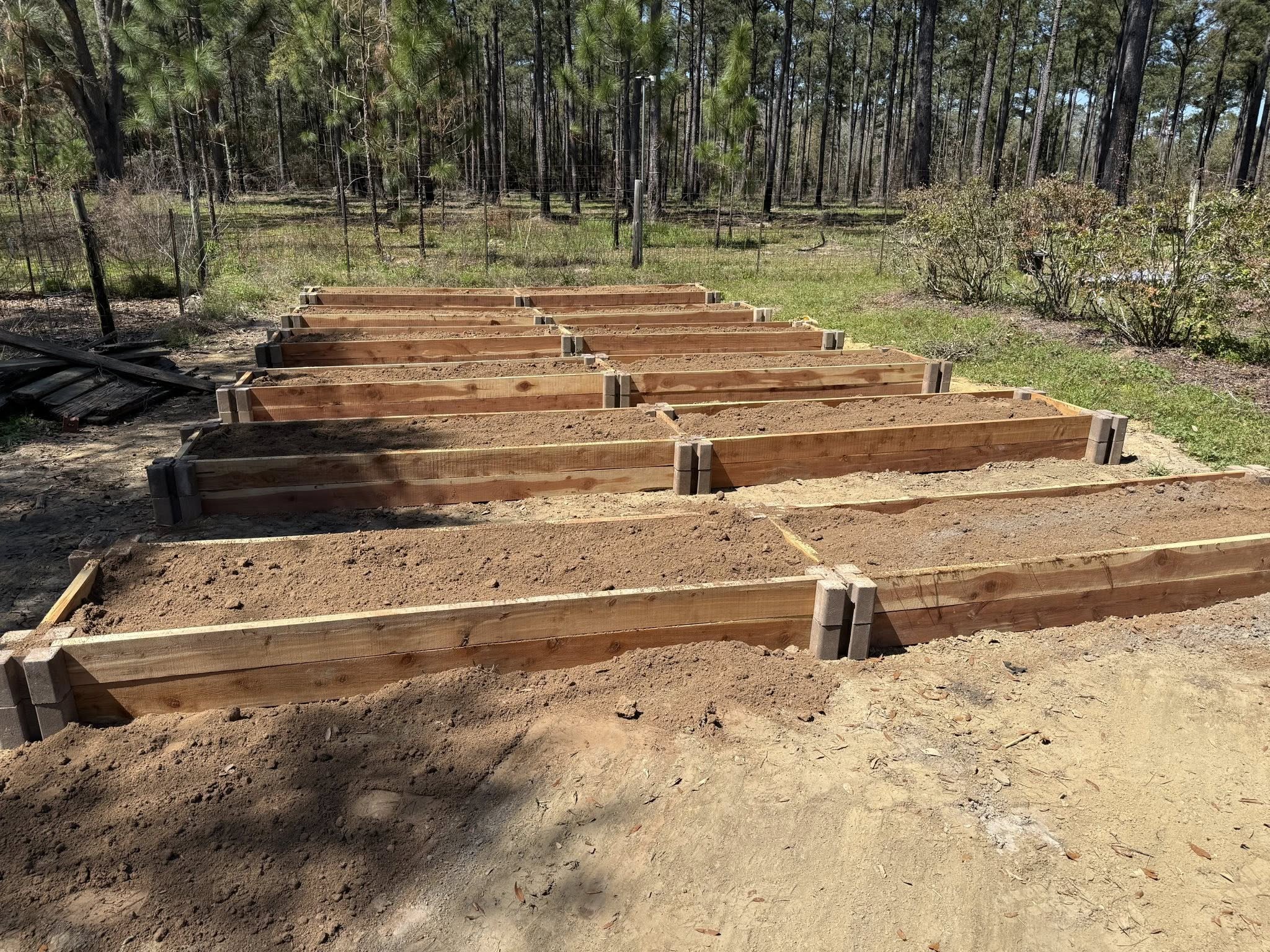 raised beds