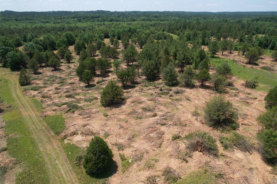 Black Belt Prairie restoration site